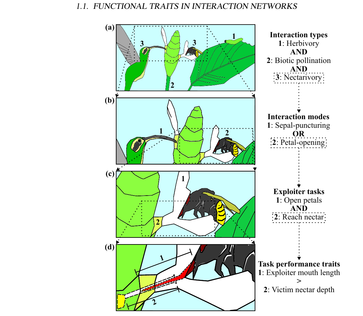 thesis on fungi pdf